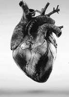 heart beat love GIF