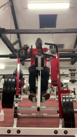 Pdentmt gym lifting weights arm day in the gym GIF