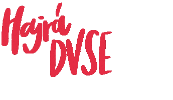 DVSE Vízilabda Sticker