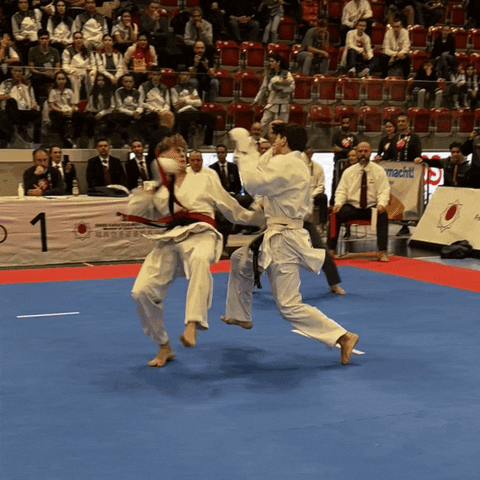 Karate GIF