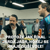 Hokej Mistrovstvi GIF by Seznam.cz