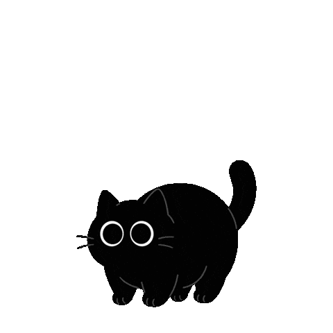 Cat Omg Sticker by PRISM Live Studio