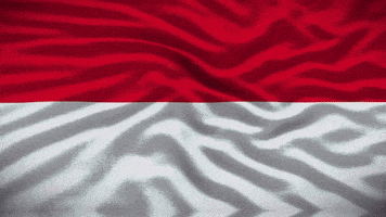 Miss Universe Veena GIF