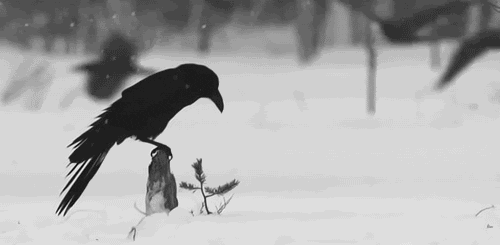 GIF uploaded by Mayer