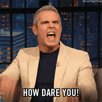 seth meyers GIF by Late Night with Seth Meyers