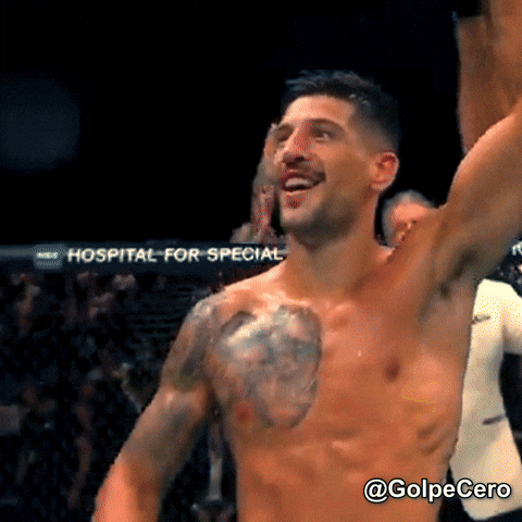 Ufc Mma GIF