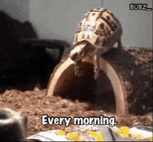 200.gif?cid=f0bdee70c1rtrg7jk62qv2fqagylg5yuoz3u9sgrvarnlmfi&rid=200.gif&ct=g