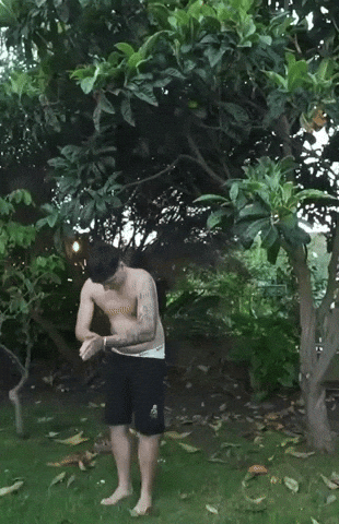 Chile Streaming GIF