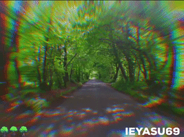 Northern Ireland Trees GIF