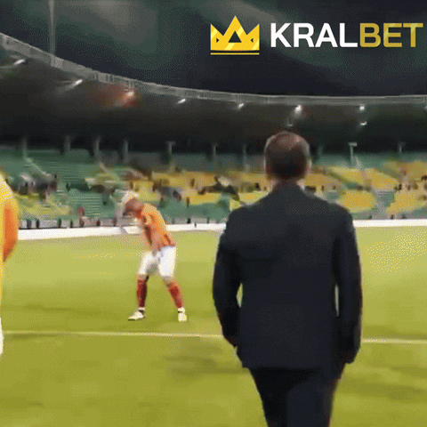 Futbol Galatasaray GIF by KralBet