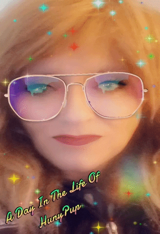 A Day In The Life Of Hunypup GIF