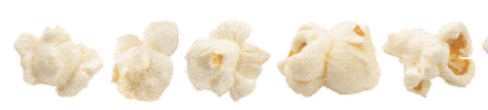 Kernel Seasons Sticker
