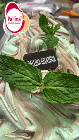 GIF by PALLINA GELATERIA