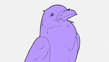 Fun GIF