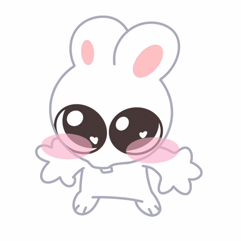Skz Stay GIF