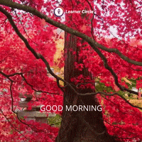 Good Morning Day GIF by Learner Circle