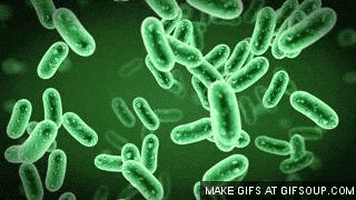 Bacterium GIFs - Get the best GIF on GIPHY
