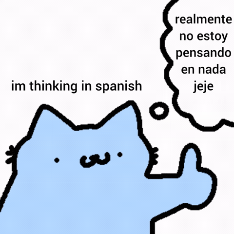 Spainnubcat GIF