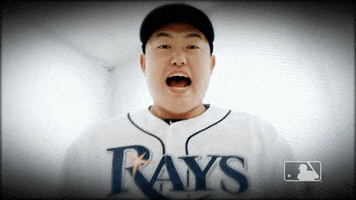 Excited Tampa Bay Rays GIF by MLB