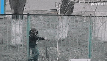fence