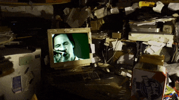 Fan Musicvideo GIF by Polyvinyl Records