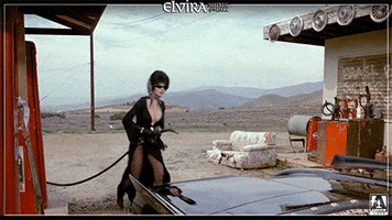 elvira mistress of the dark comedy GIF by Arrow Video