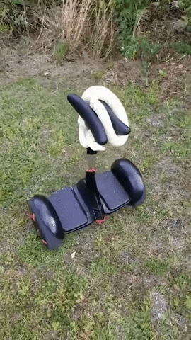 White Snake On A Segway GIF by Electric Cyclery