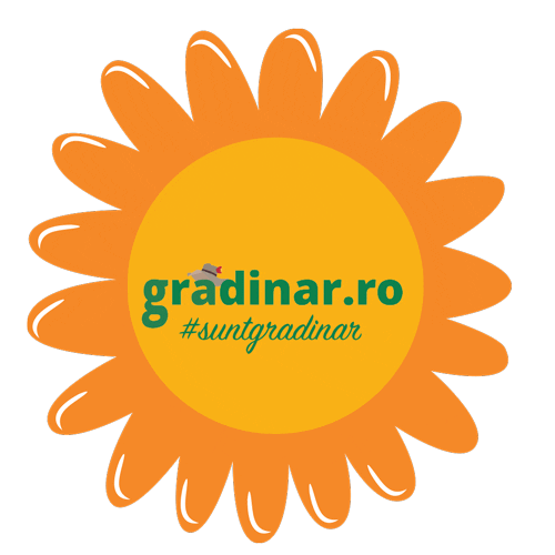 Flower Garden Sticker by Gradinar.ro