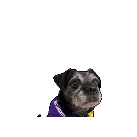 Dog Nero Sticker by Xplor Gym