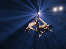 Circus Performer GIF by Ringling Bros. and Barnum & Bailey