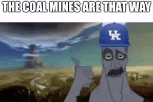 Kentucky Wildcats GIF