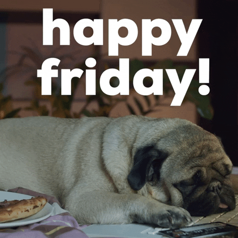 Video gif. Next to a credit card and a slice of pizza on a plate, a pug has fallen asleep on a computer keyboard. Text, "Happy Friday!"