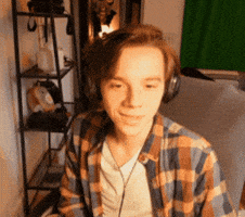What The Hell Cat GIF