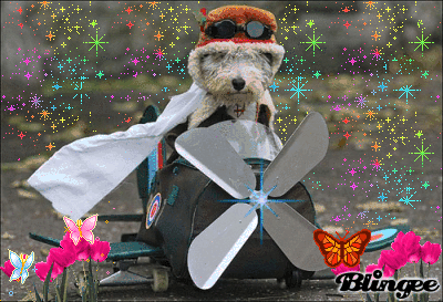 behind the candelabra