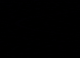 Cat Magic GIF by MGA Games