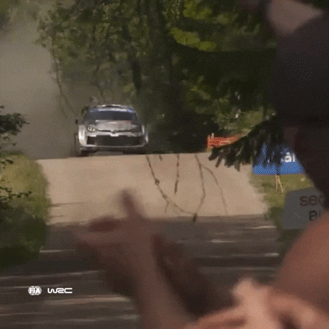 Finland GIF by FIA World Rally Championship