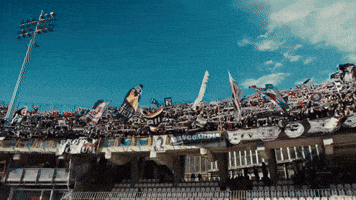 Happy Football GIF by Ascoli Calcio 1898