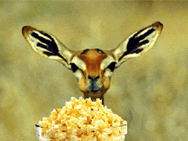 Munching On Popcorn GIFs - Get the best GIF on GIPHY