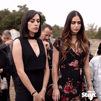 200.gif?cid=fc005b08c3725d16452a0a68949ee3f13afe431fc77be95e&rid=200.gif&ct=g