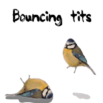 bouncy