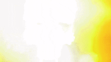 GIF by Ree