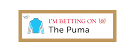 Horse Racing Sticker by Kentucky Derby