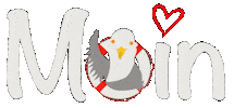 Seagull Ostsee Sticker