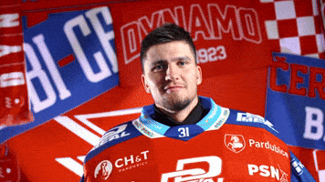 Tomas GIF by HC Dynamo Pardubice