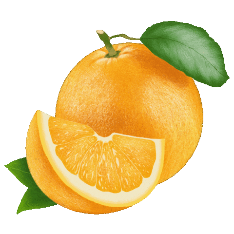 Logo Orange Sticker - Logo Orange Bakery - Discover & Share GIFs