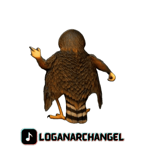 Logan Hawk Sticker