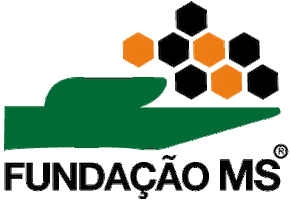 Fundação MS Sticker