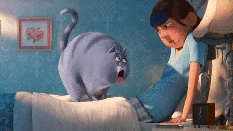 Cat Movie GIF by The Secret Life Of Pets