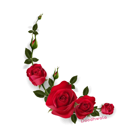 Rose Sticker for iOS & Android