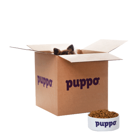 Dog Food Wink Sticker